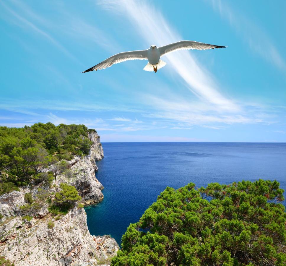 Bed and Breakfast Pansion Alen - Dugi Otok Ллука Экстерьер фото