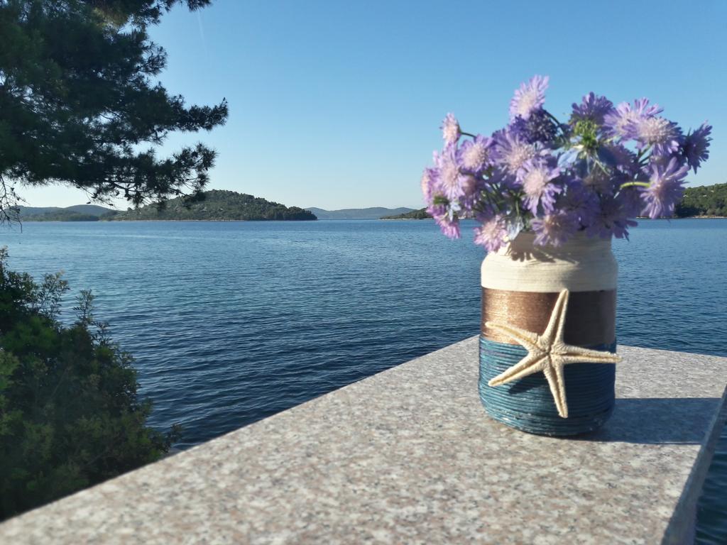 Bed and Breakfast Pansion Alen - Dugi Otok Ллука Экстерьер фото